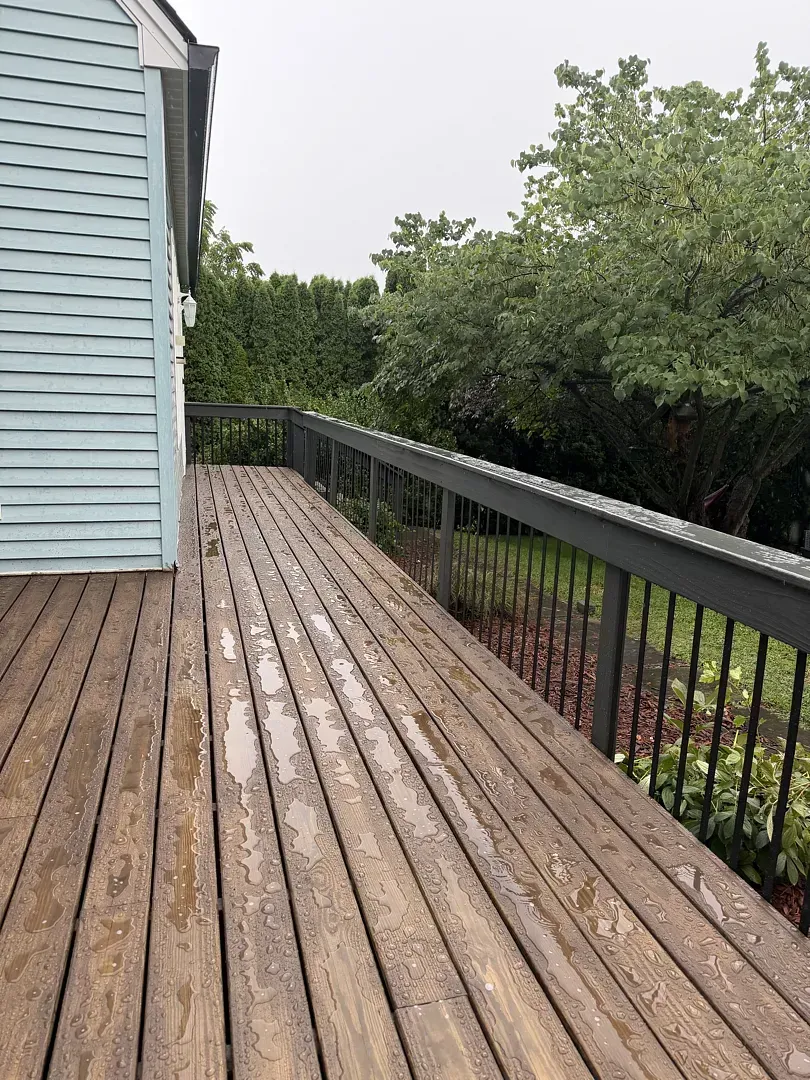Wet wooden deck beside a house, with black railing and green bushes along the edge.