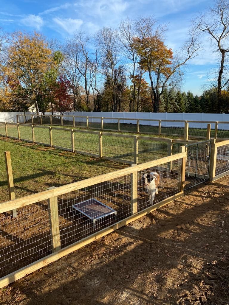 Wood and chain-link fence