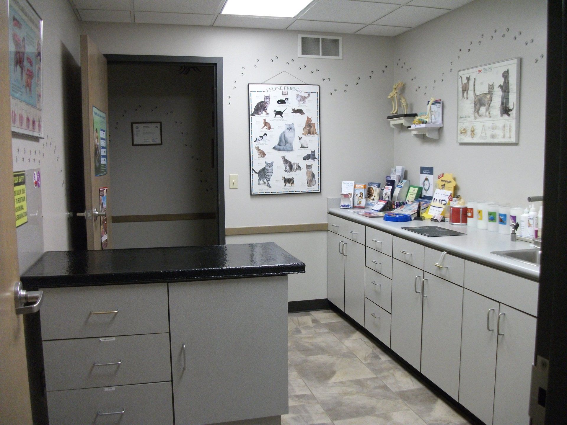 pet clinic