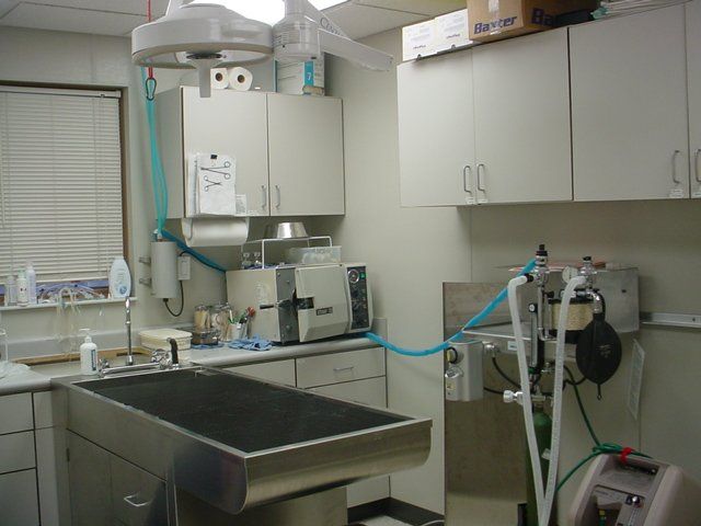 pet clinic