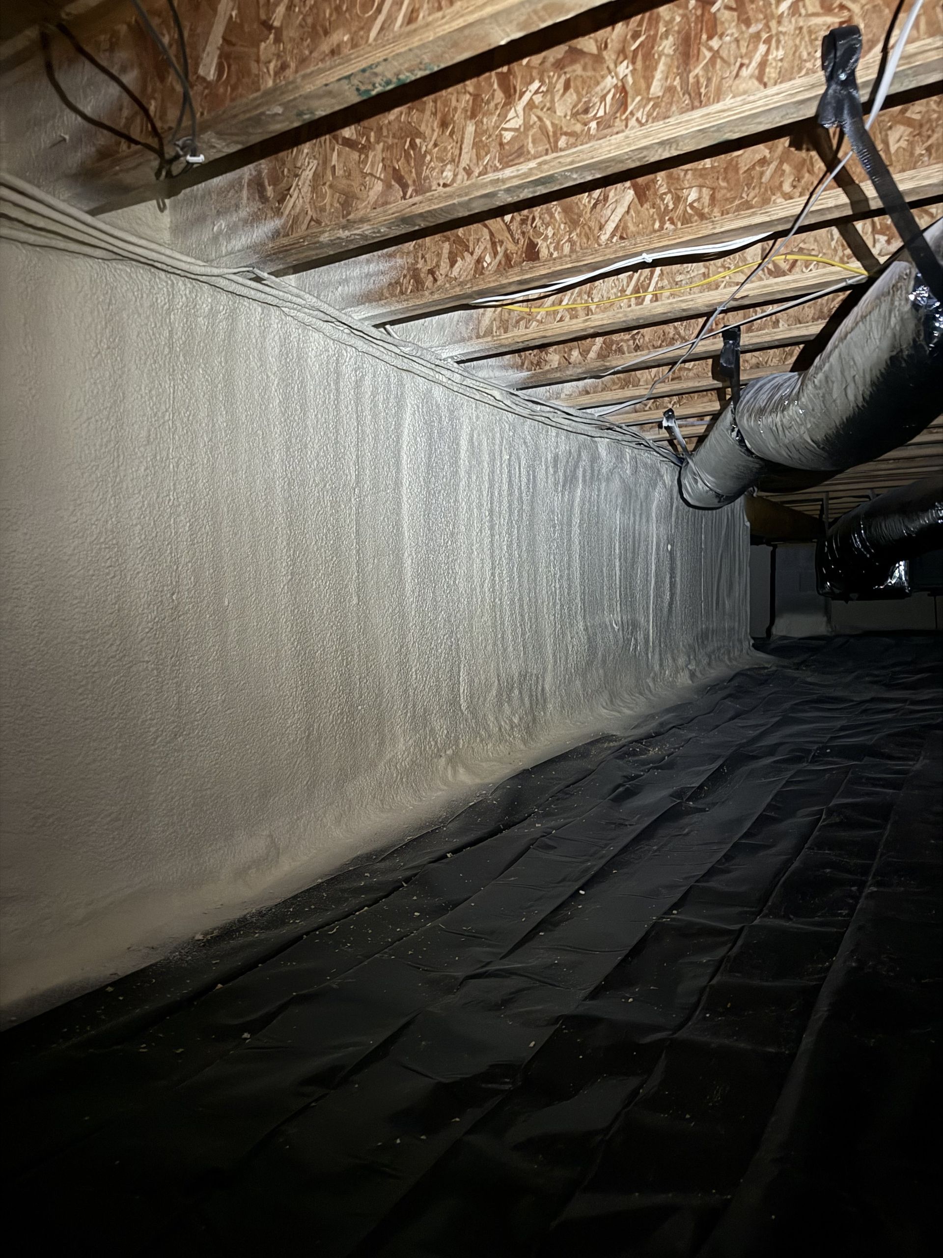 The ceiling of a basement with a lot of pipes hanging from it.