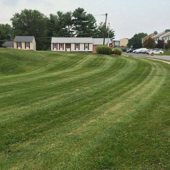 lawn