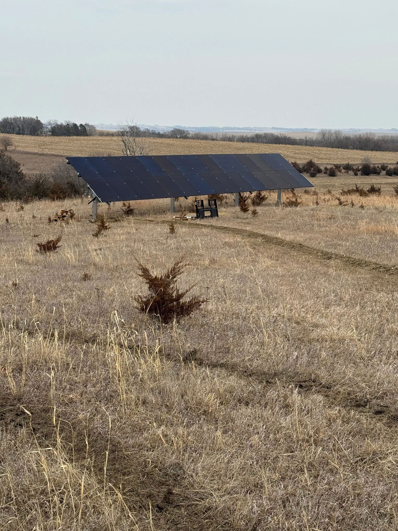 Solar panel array in a field of dry grass under a hazy sky.