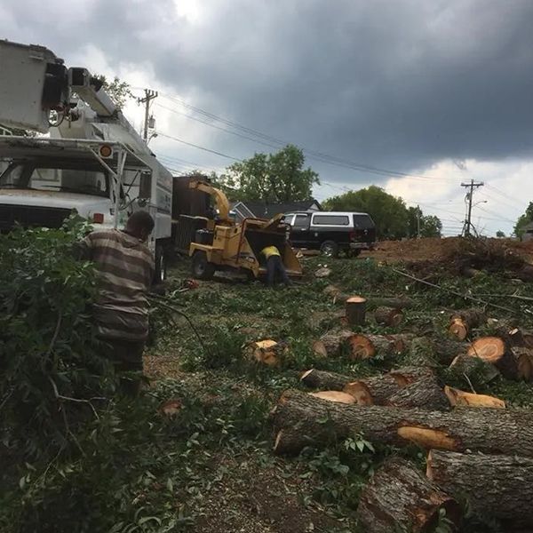 G. Rivera's Tree Service