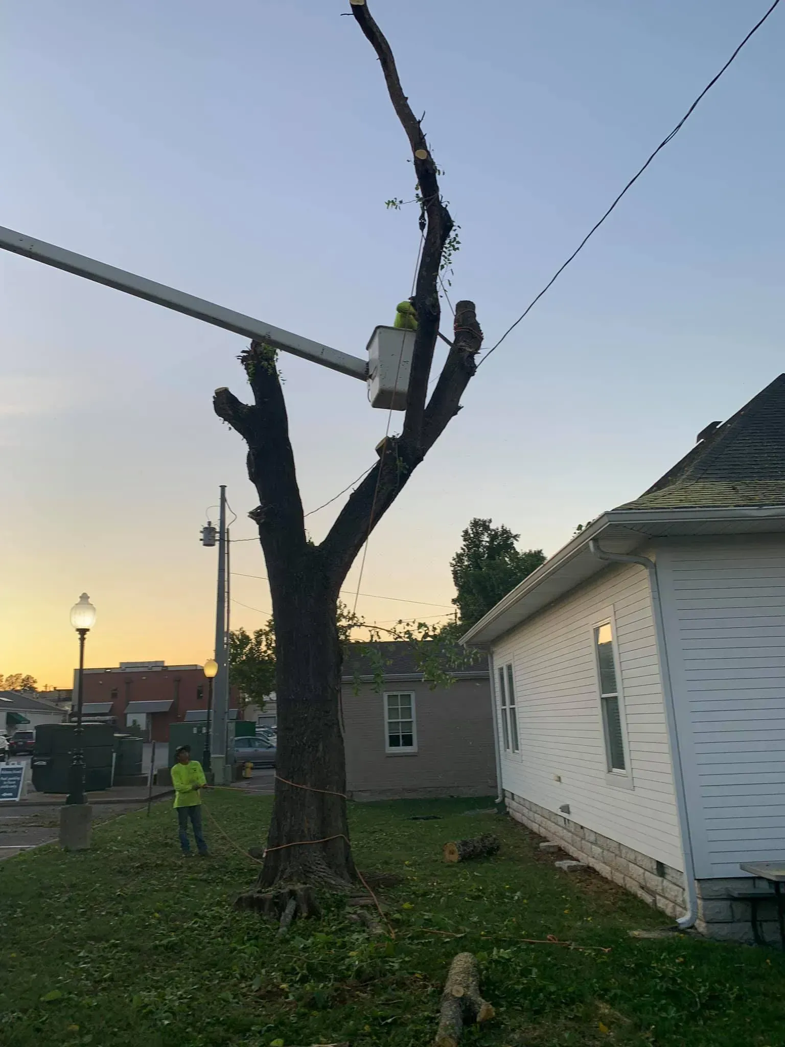 Tree trimming near a power line. Arborist in a lift bucket. Another on the ground. Dusk.