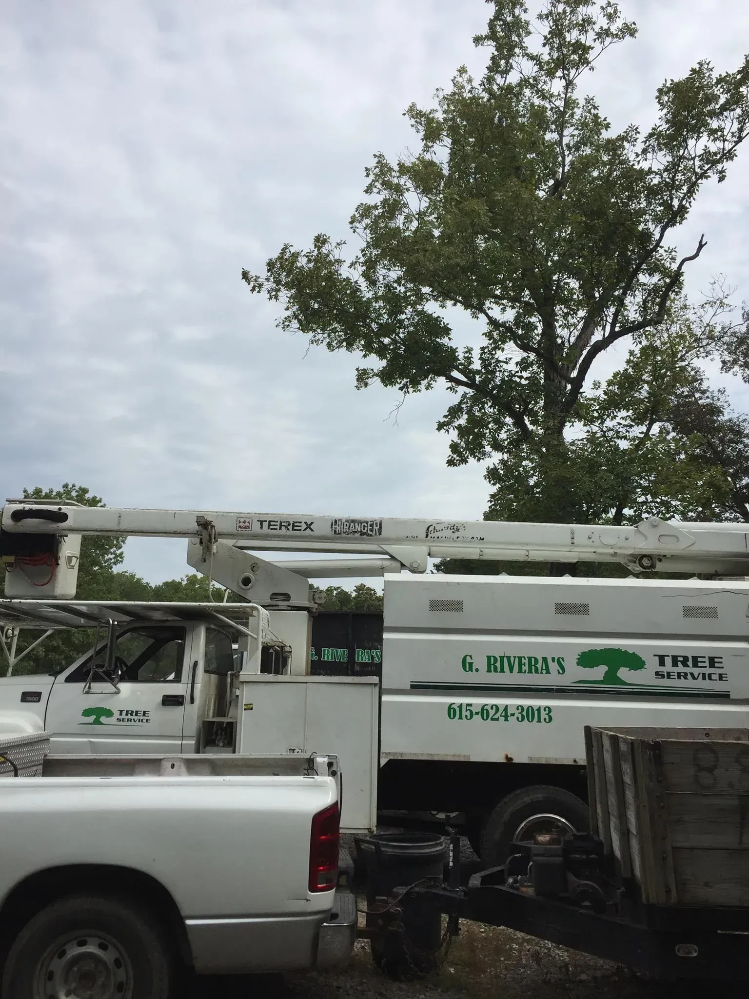 White tree trimming truck with extended boom arm next to a tree under a cloudy sky.
