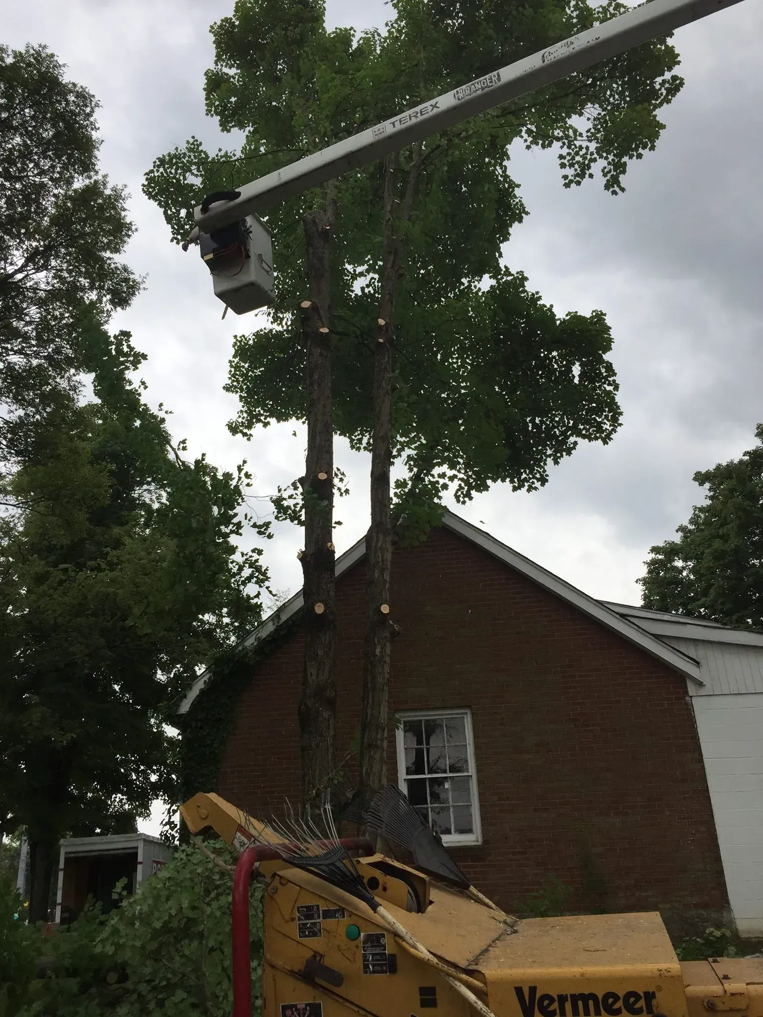 Tree trimming with a Vermeer lift, near a brick building.