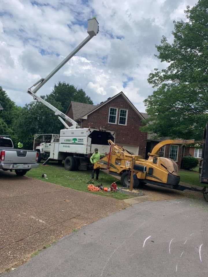 Tree service removing tree branches near a brick house, using a truck lift, chipper, and tools.