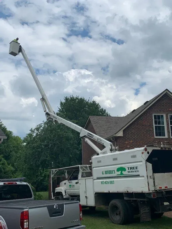 Tree service truck with extended arm reaching a house; cloudy sky.