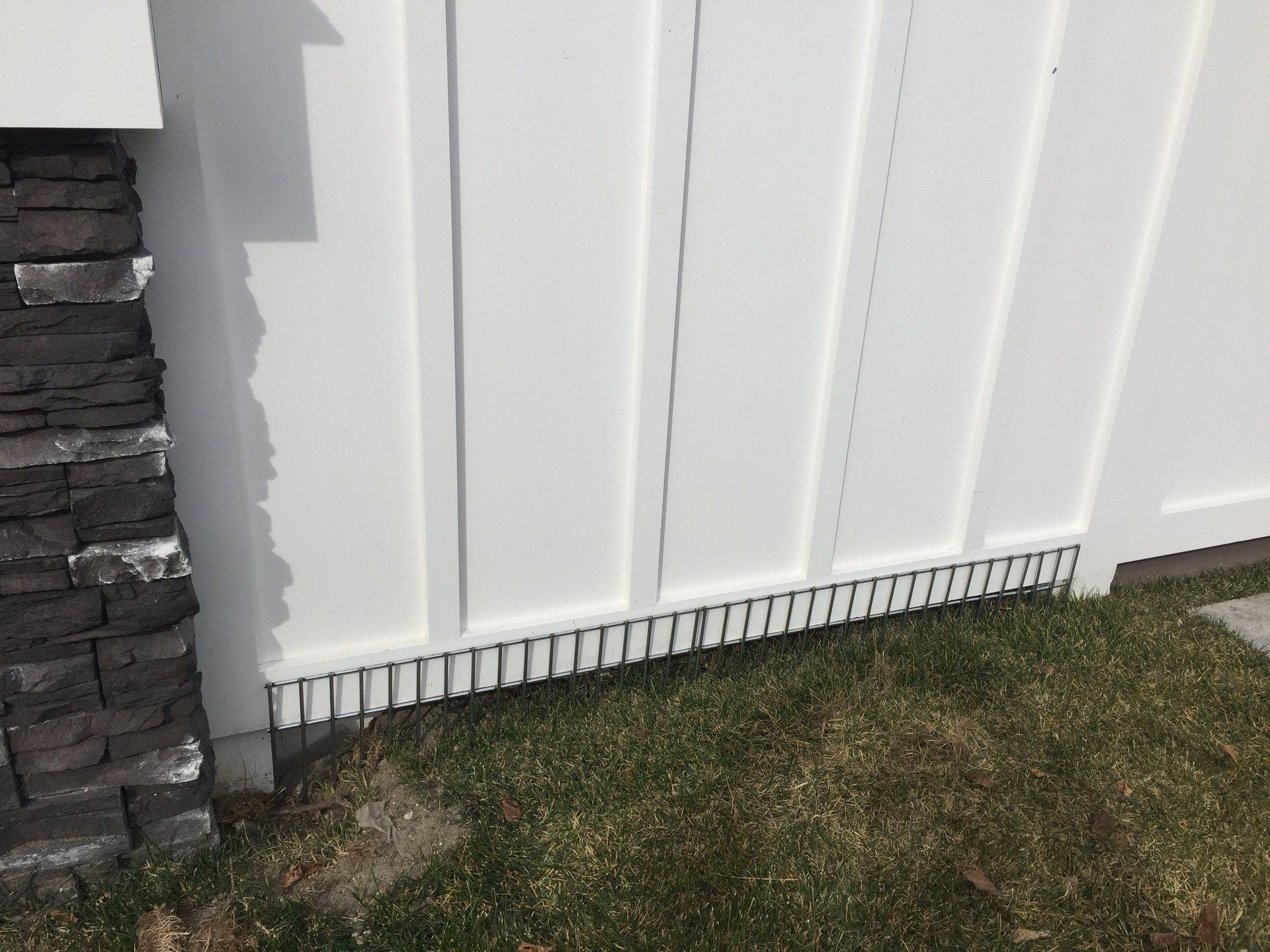 Pest management service