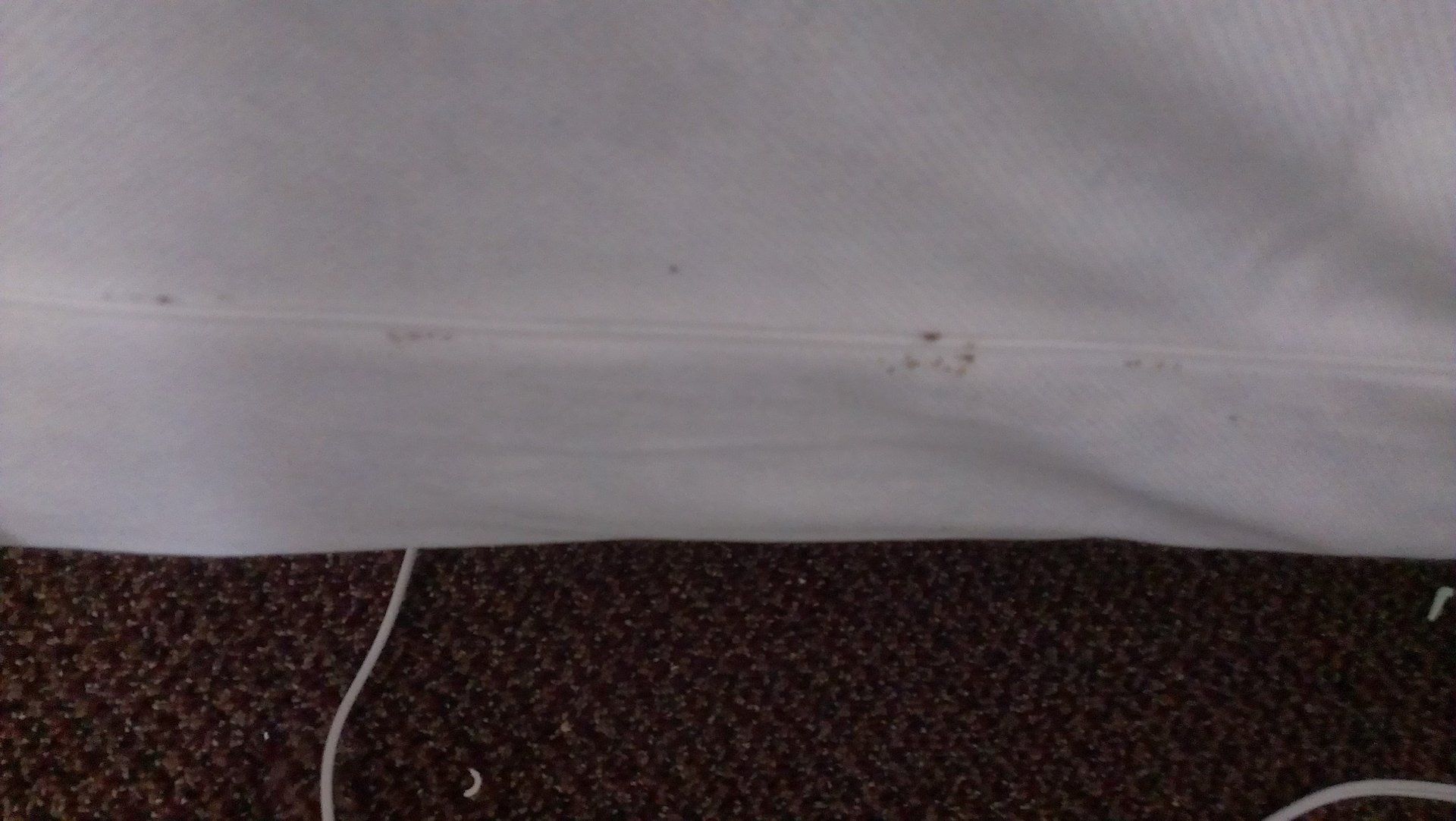 Pest management service