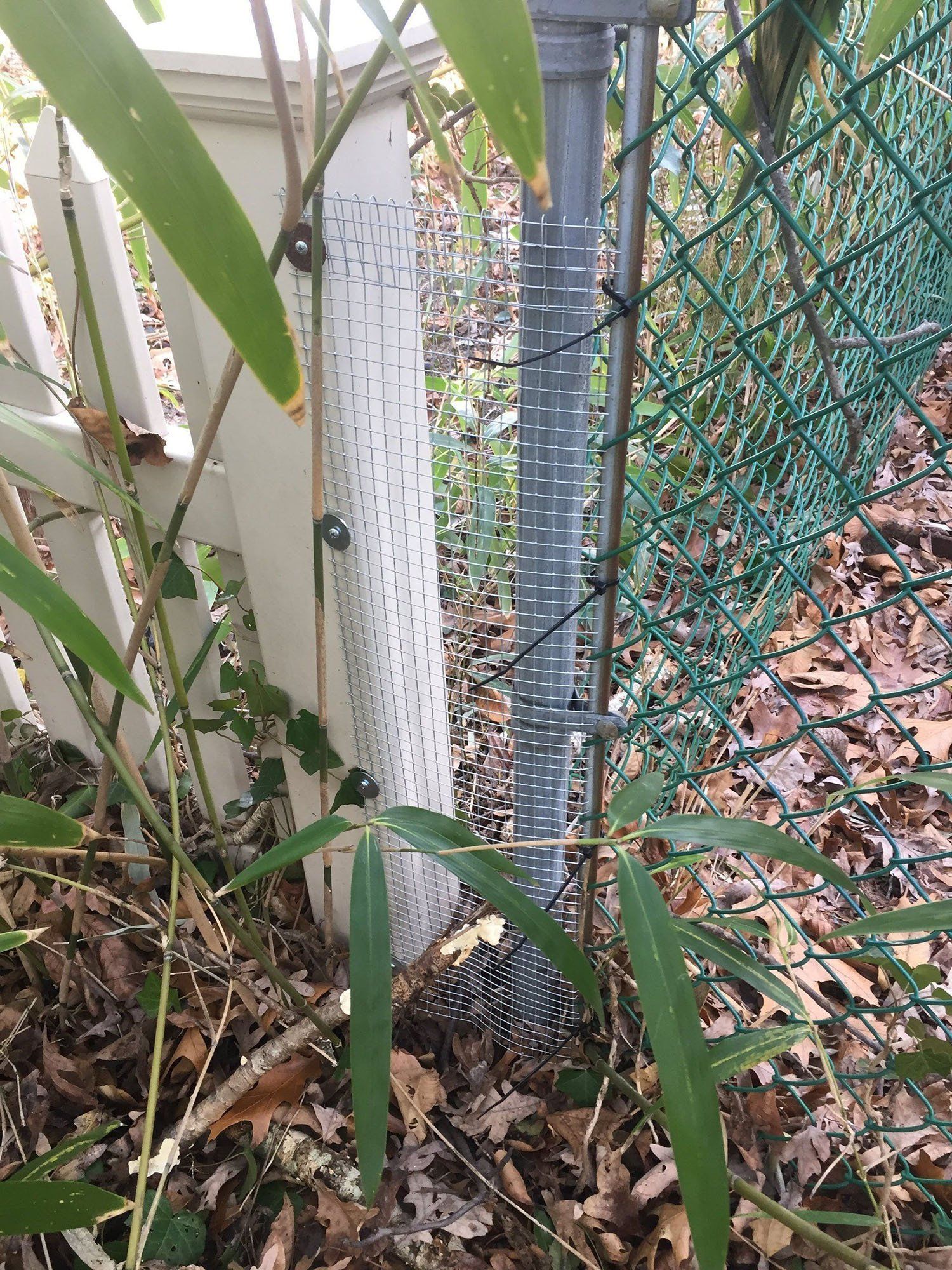 Pest management service