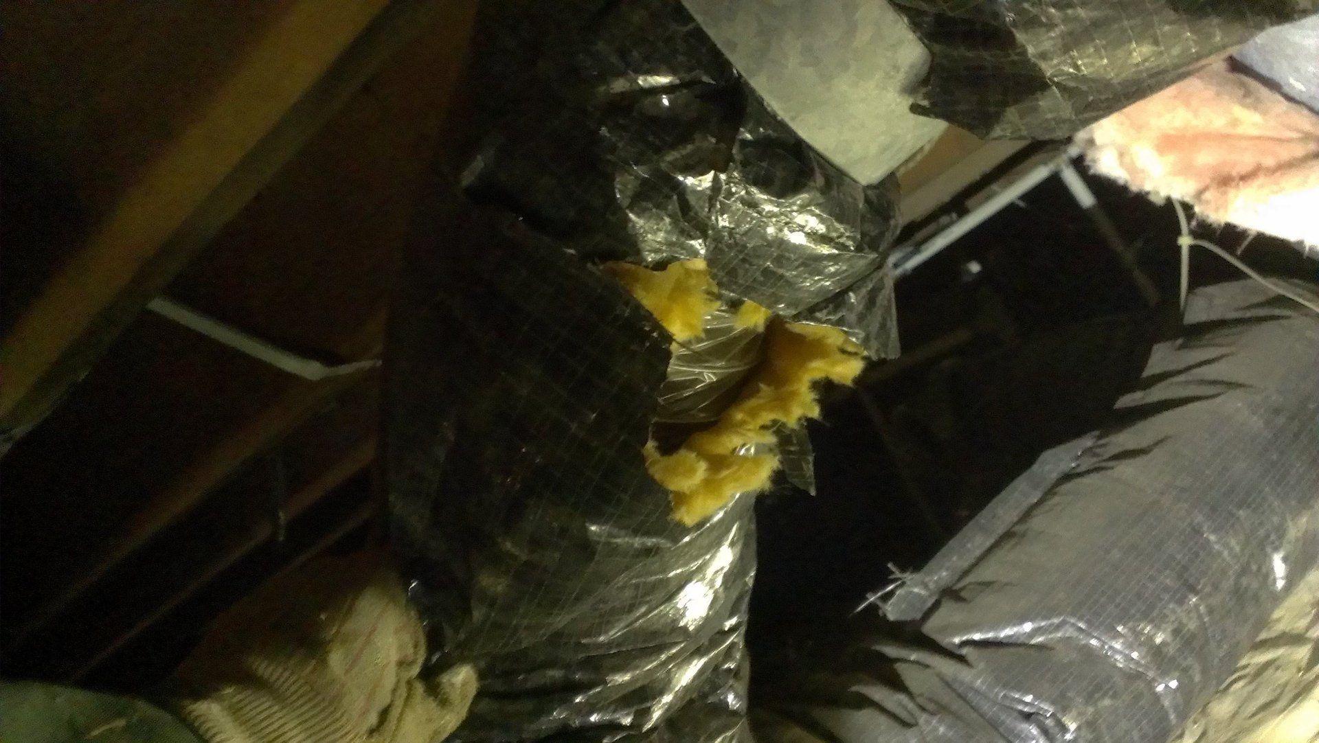 Pest management service