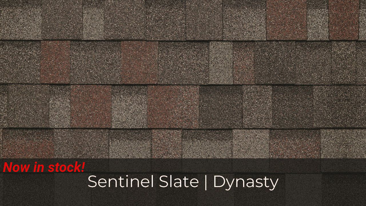 Close-up of asphalt shingles in Sentinel Slate Dynasty color; brown, gray, and red-toned.