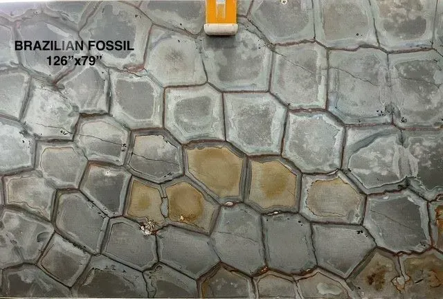 Gray hexagonal fossil pattern with a tan-brown stained patch and small orange marker at top