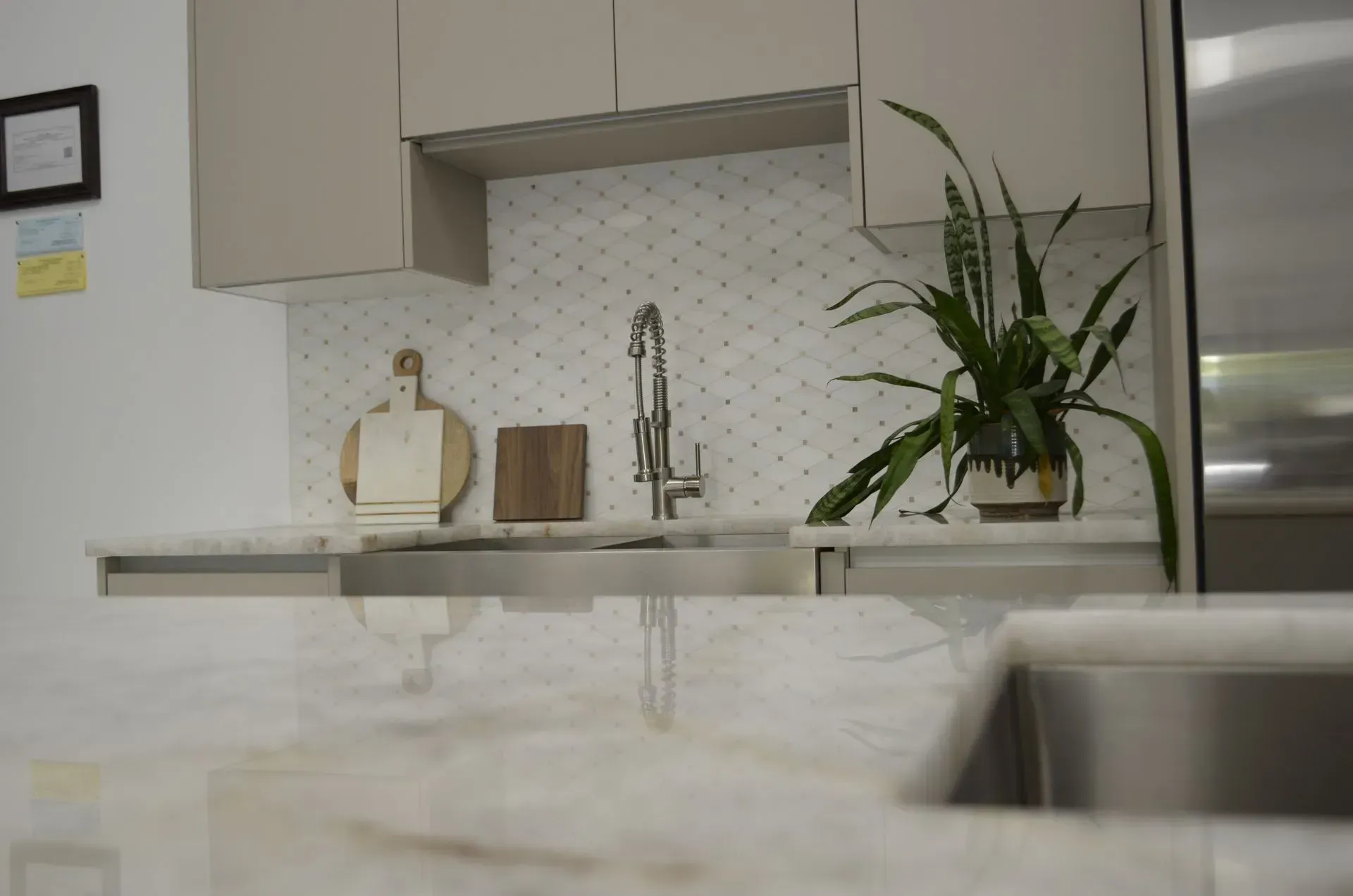 Modern kitchen with white cabinets, sink, and a potted plant on the counter