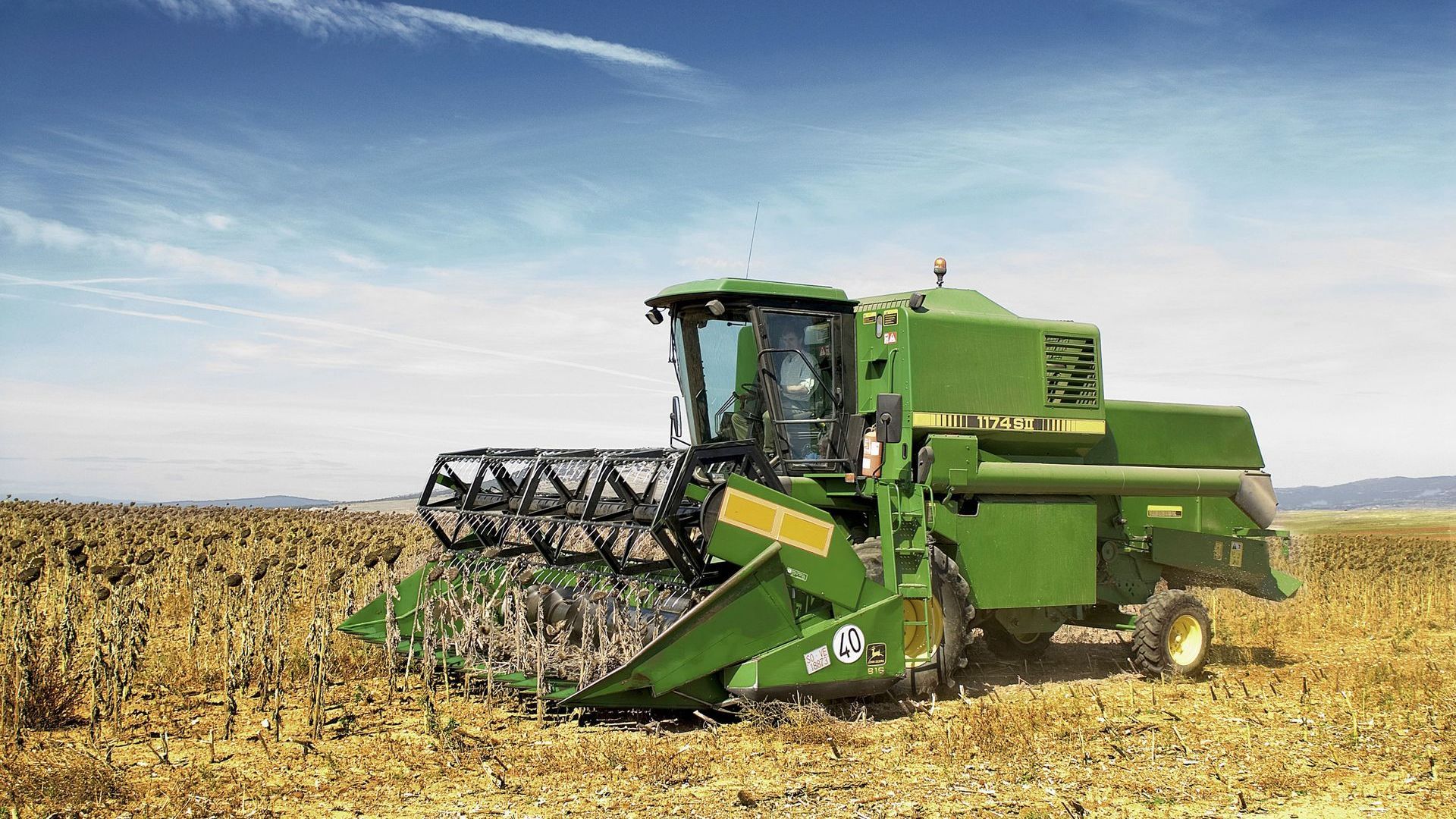 A green combine harvester is working in a field of corn