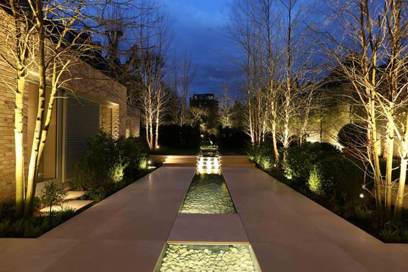 Night view of a modern garden path with up-lit trees, bushes, and a central water feature.