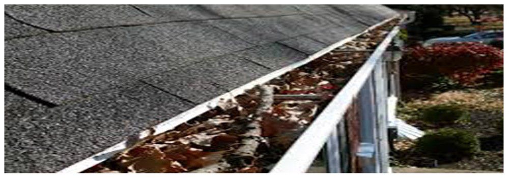 Gutter Service