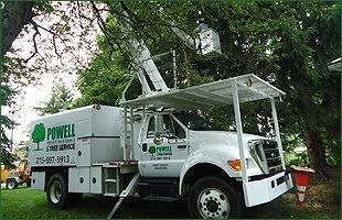White utility truck with ladder and awning parked on a grassy roadside under trees