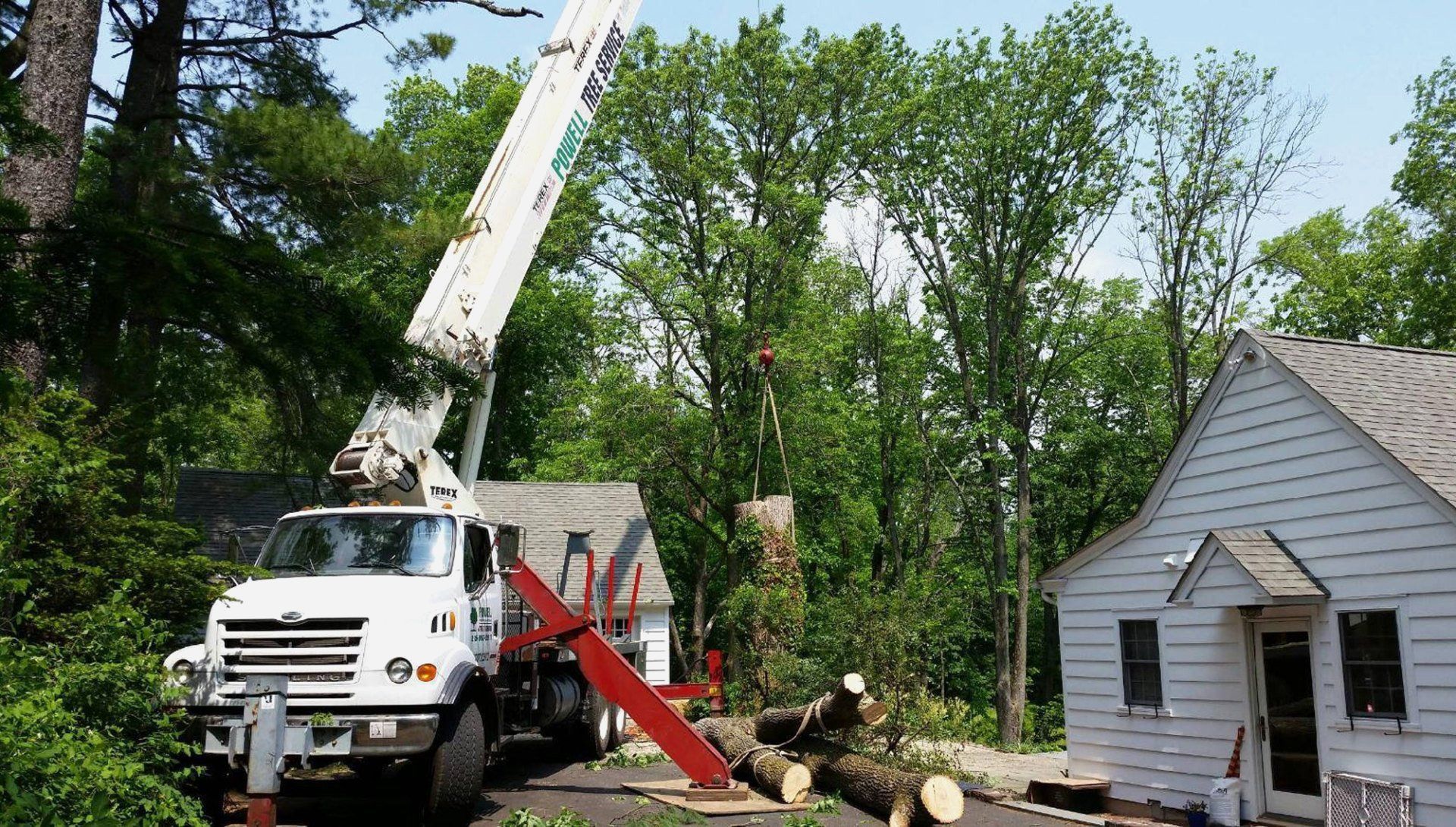 White crane truck lifts a large tree limb beside a small white house in a wooded yard