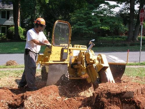 Worker operating a yellow skid-steer loader, digging dirt in a roadside yard.