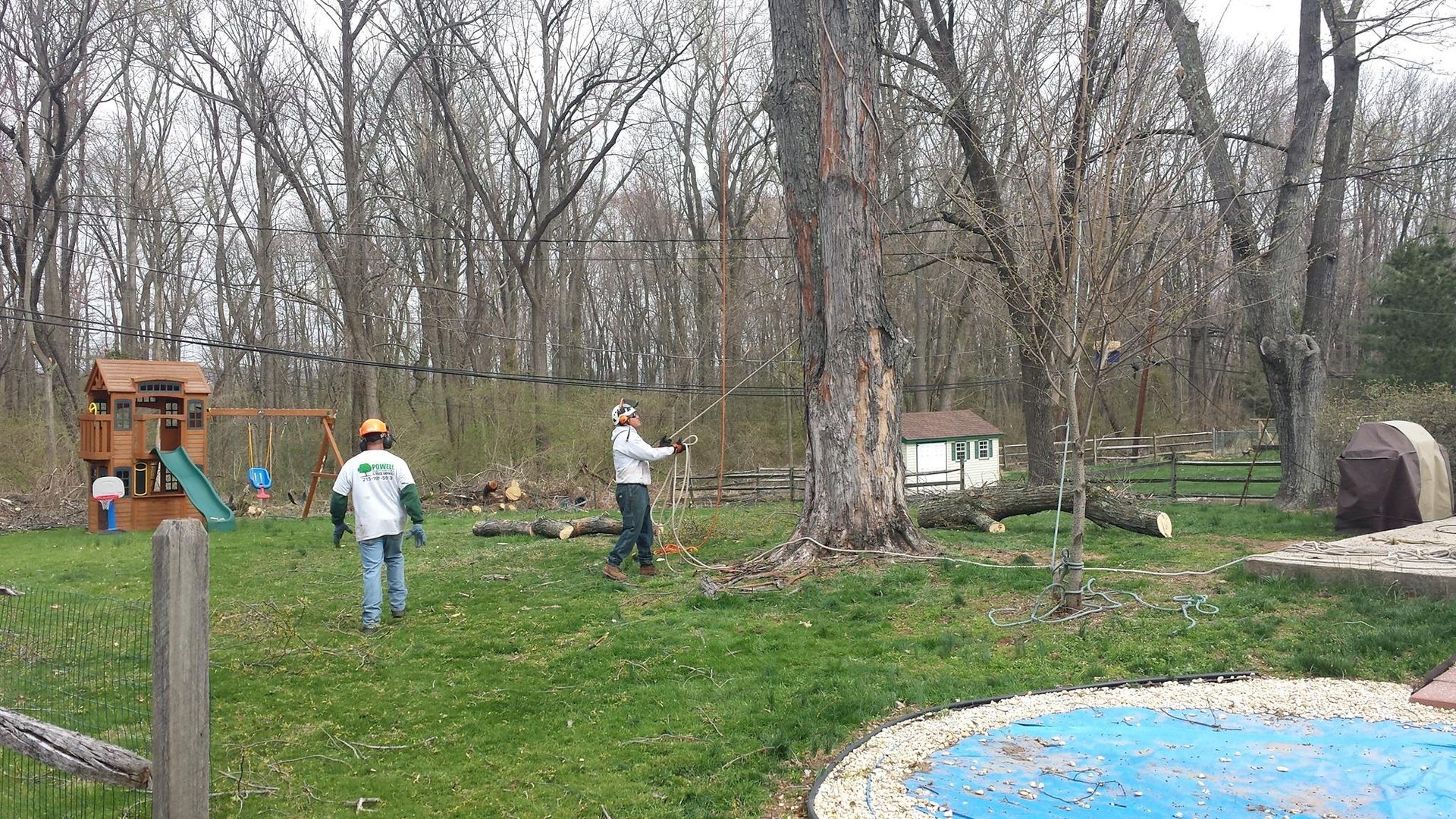 People working in a backyard garden with bare trees, a playset, and a blue pool in the foreground