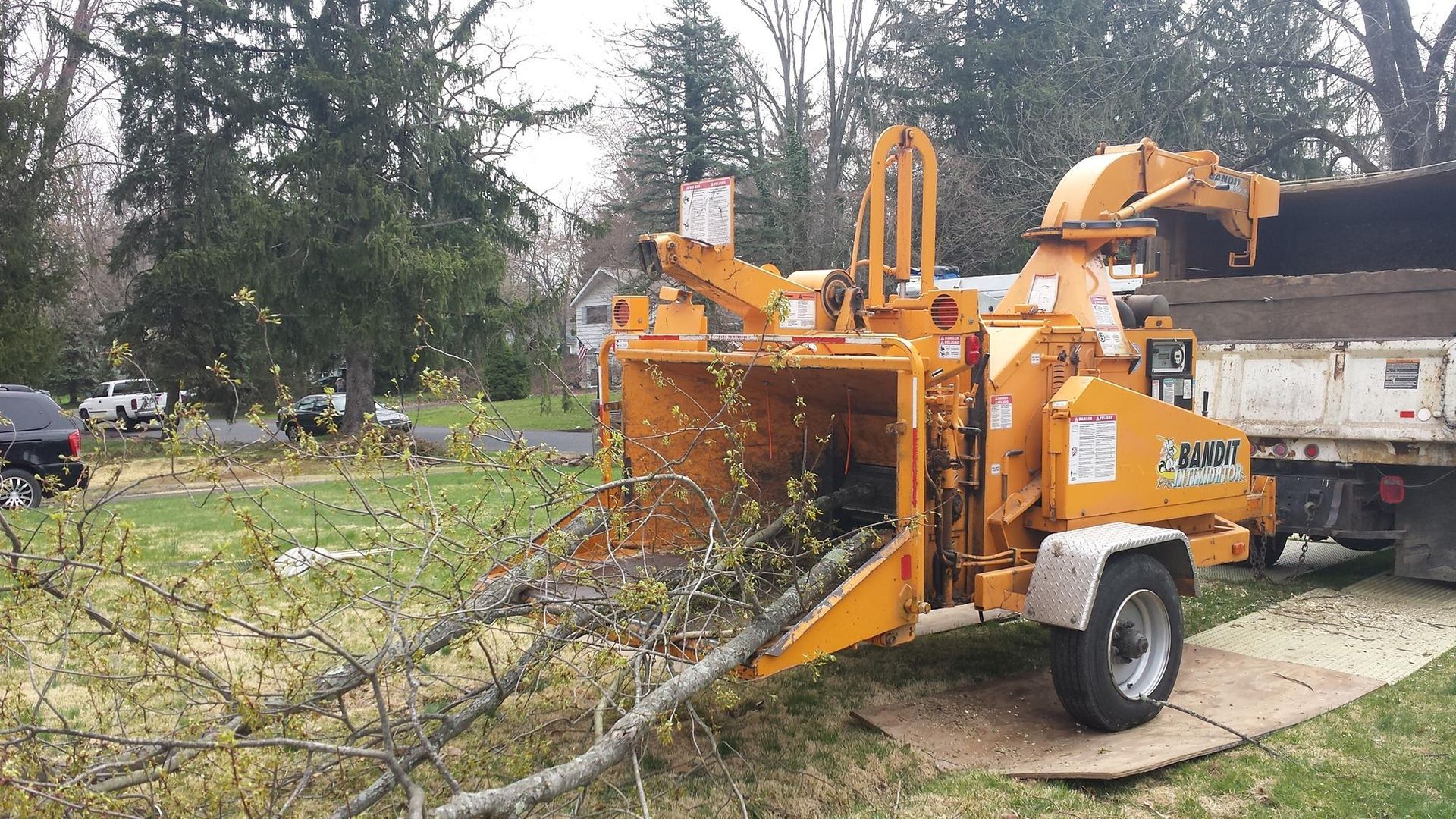 Orange wood chipper feeding branches into a truck in a yard with trees and grass.