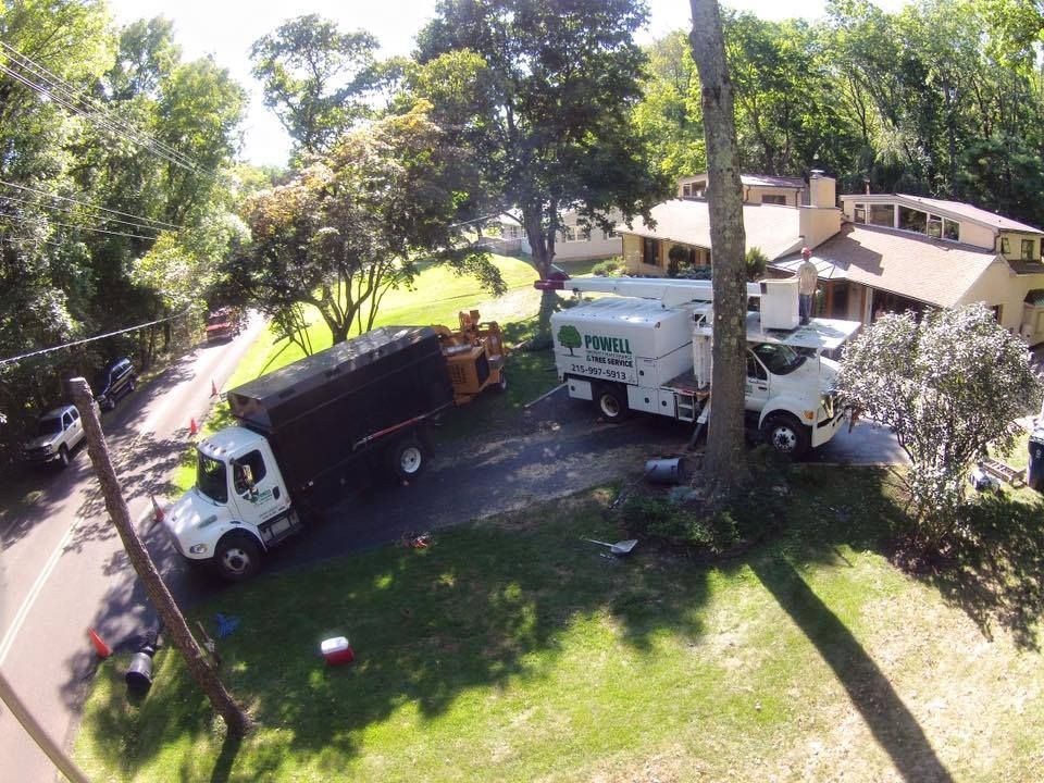 Two utility trucks parked beside a house in a leafy yard with trees and sunlight