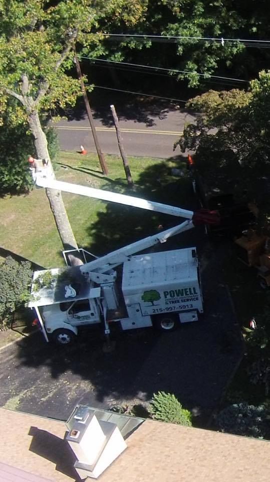 Bucket truck with extended boom parked by a roadside under trees.
