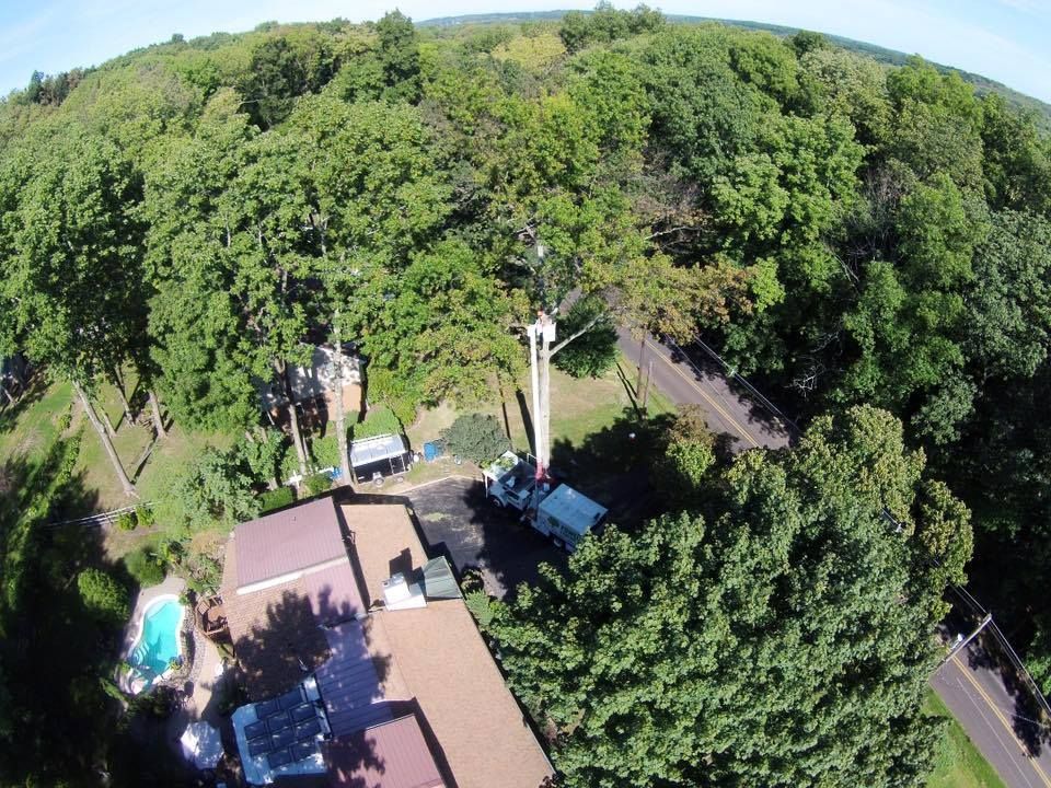 Aerial view of houses by a wooded road, with a pool and dense green trees around a hillside neighborhood.