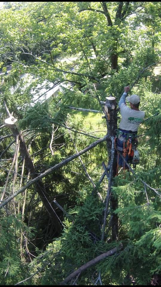 Two workers in hard hats on a rope bridge among trees, high above the ground