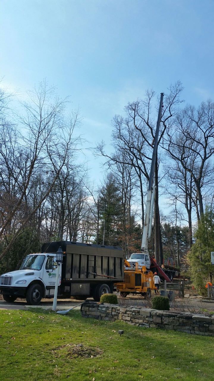 Dump truck and yellow excavator at a construction site beside a stone wall, with leafless trees and blue sky.