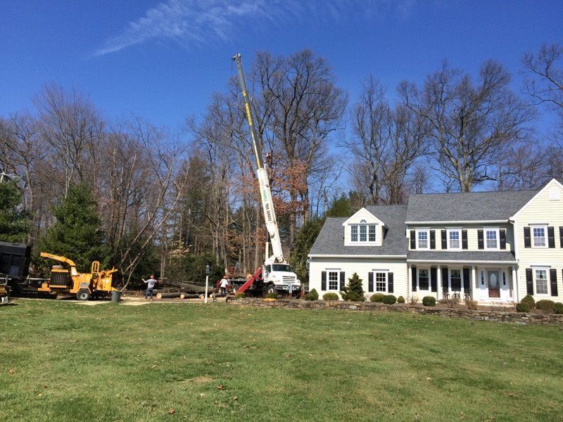 Tree removal crew with crane and excavator beside a white house on a grassy lawn