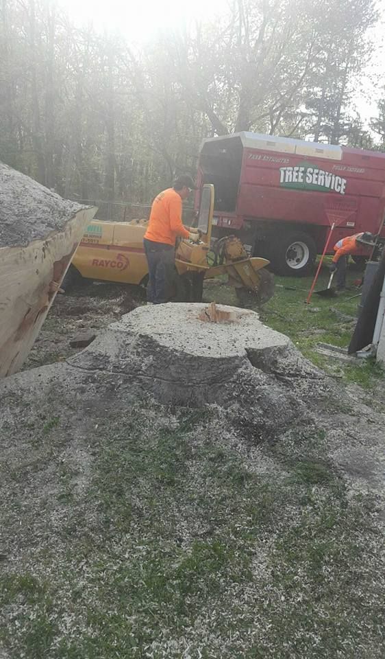 Roadwork scene with a worker in orange beside a compact loader and dump truck on a dirt site