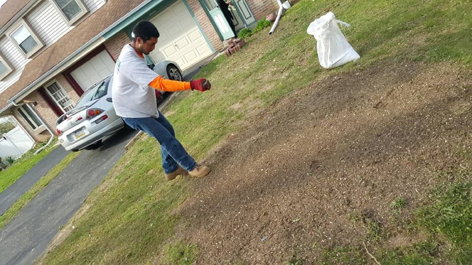 Person in blue jeans and orange gloves throwing something onto a grassy front lawn near a house and parked car.