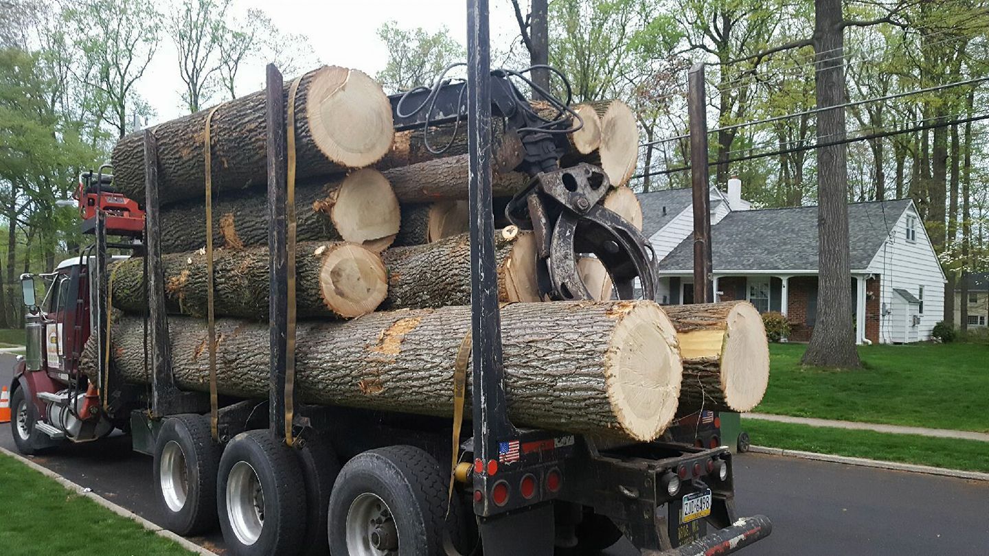 Logging truck loaded with large cut logs driving on a suburban road