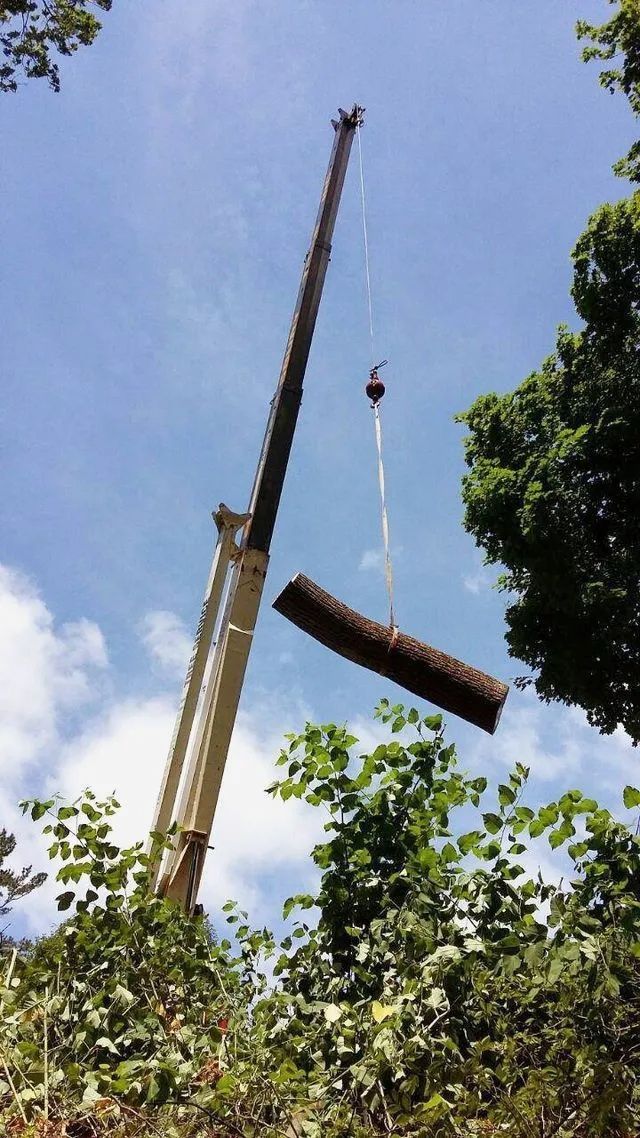 A crane hoists a long log-like bundle through a wooded area under a blue sky.