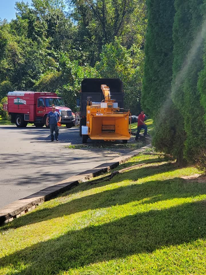 Workers and red truck beside an orange wood chipper on a sunny roadside near a hedge
