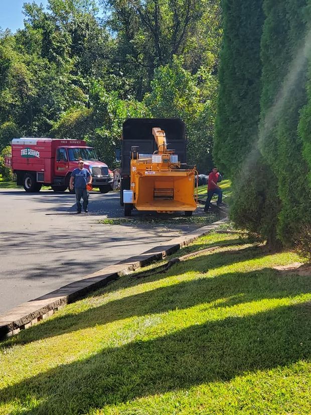 Workers beside a red truck and orange wood chipper on a tree-lined roadside, with a green lawn in front