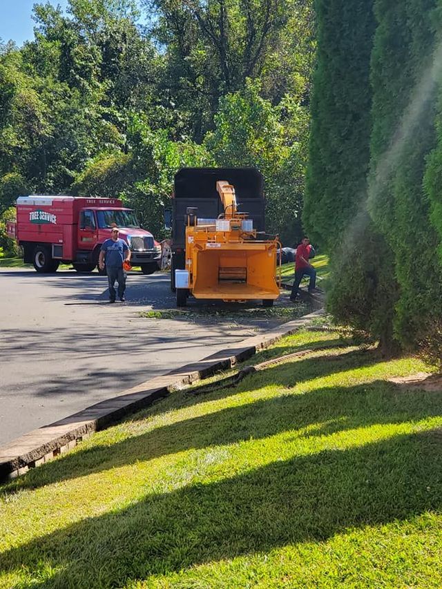 Workers beside a red truck and orange wood chipper on a tree-lined roadside, with a green lawn in front