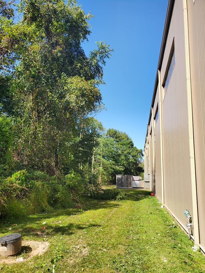 Grassy side yard beside a beige building, lined with trees under a clear blue sky.