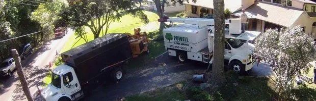 Two white trucks parked under trees on a residential street, one carrying a large black dumpster container.