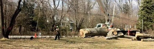 Camouflaged military vehicle in a wooded area with two people walking nearby