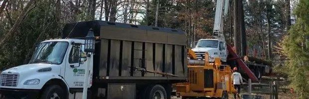 White dump truck with a yellow wood chipper in a wooded area, processing fallen branches