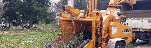 Orange wood chipper grinding branches beside a white truck in a wooded area.