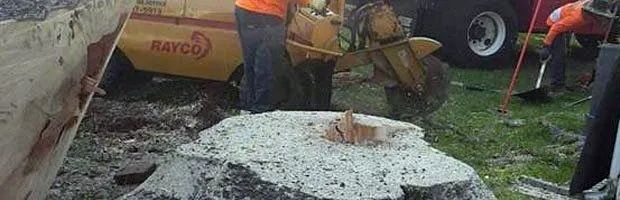 Construction workers pour concrete into a trench beside an excavator on a muddy site.