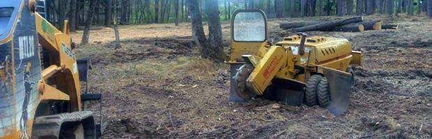 Yellow construction machinery in a muddy wooded area, with excavators and a truck-like loader.
