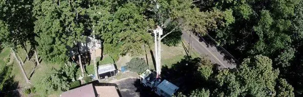Aerial view of a tree-lined road with a tall pole, parked cars, and buildings partially hidden by trees