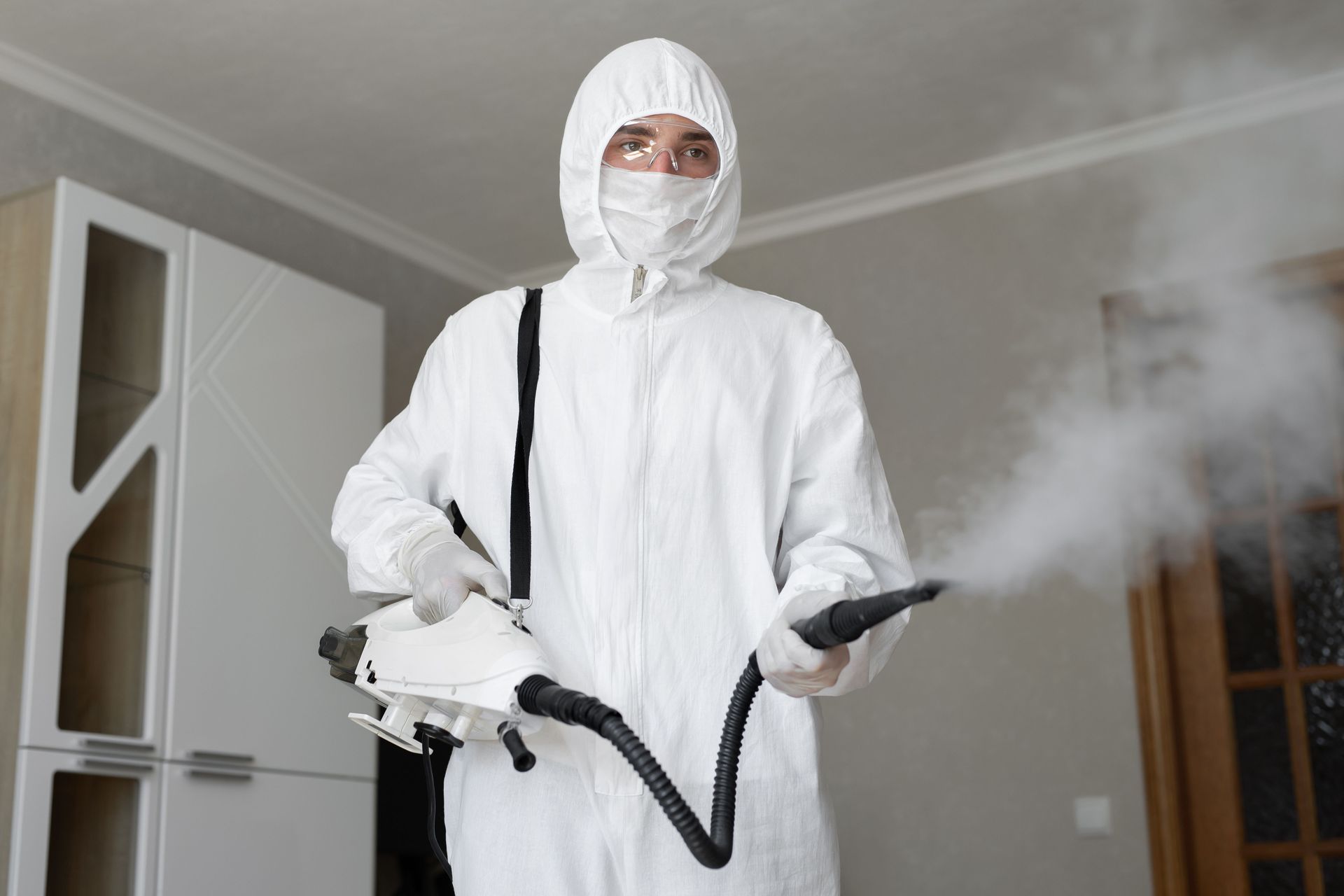 The Clear Health Benefits of Hiring a Mold Removal Business